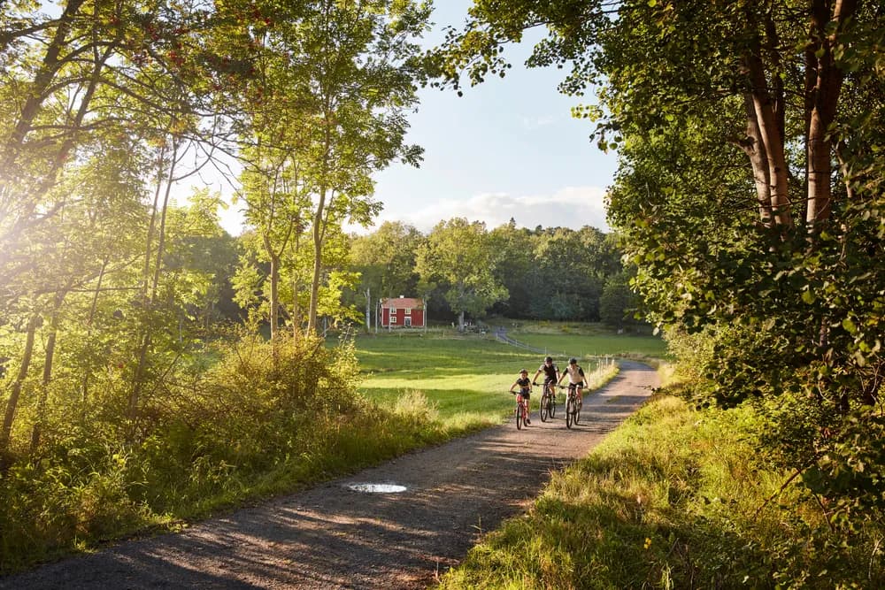 25 Hidden Gems in Southern Sweden You Won't Find in Every Guide